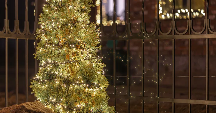 Árvore de Natal iluminada diante de uma grade de ferro, à noite
