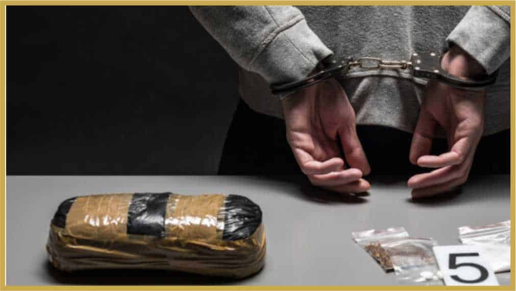 Defesa em Acusações de Tráfico de Drogas (art. 33 da Lei 11.343/2006)